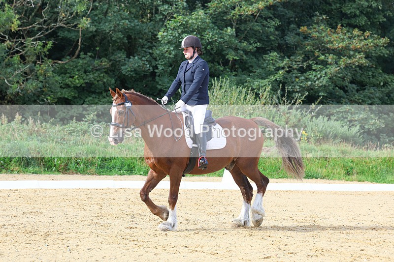 3E7A2217 - Class 1: Intro 4 2024 section A