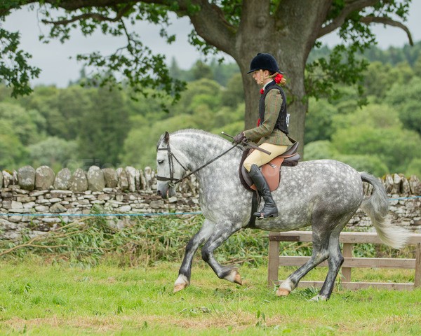 Dunblane show-636 - Dunblane and Doune Show Ring 1