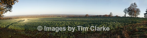 panorama6jpg - Twynam