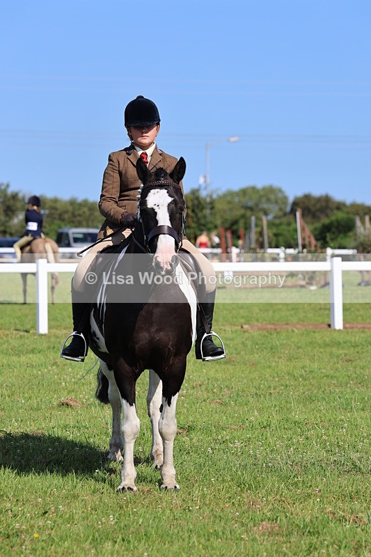 IMG_1675 - Skewbald and Piebald Ridden Championship