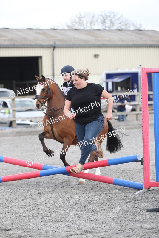 20260412-0111 - Show Jumping
