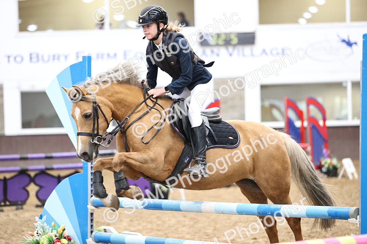 SBM_000155 - Class 2 - Pony British Novice - 80cm Open