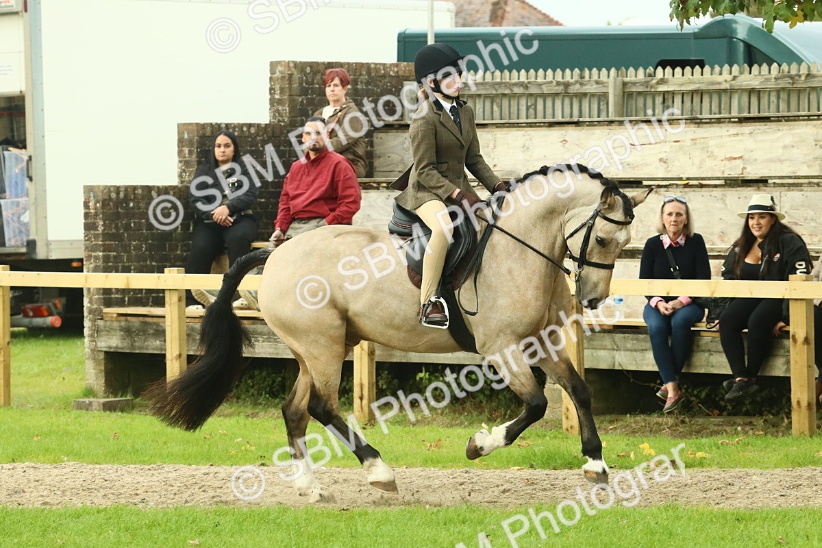 SBM_74003 - S 61 - Show Pony & Show Hunter Pony Ridden
