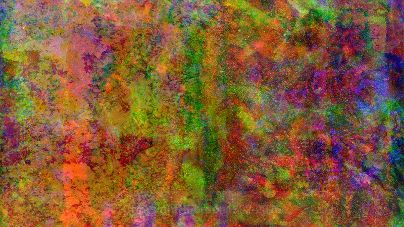 EXCHANGE XXXlll - EXCHANGE 2021