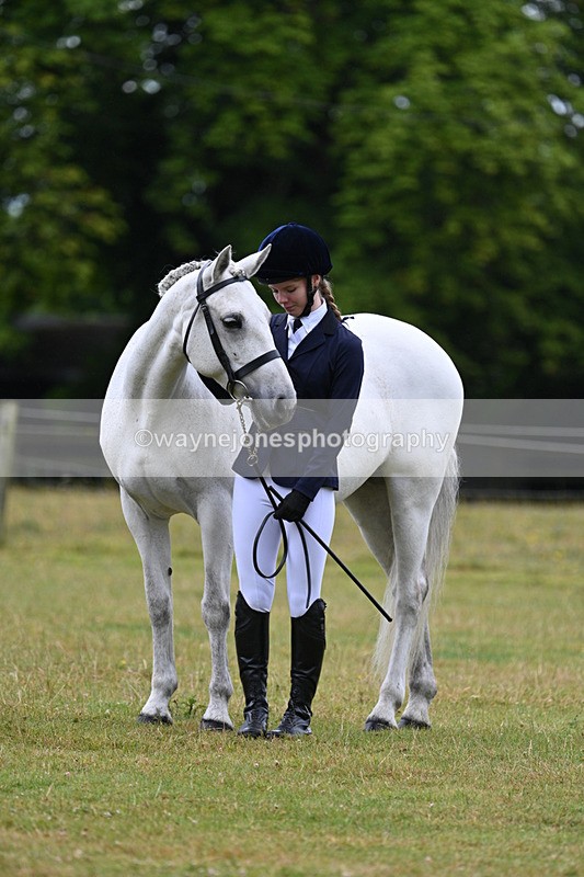 WJ7_6357 - Class 4a Prettiest Mare over 14hh