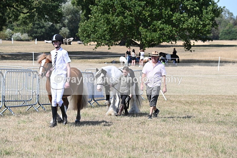 WJ6_9472 - Class 40 Cheekiest Pony/Horse