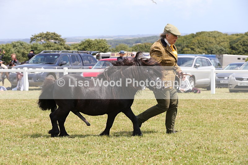 1X9A4844 - Class 35: Veteran In Hand