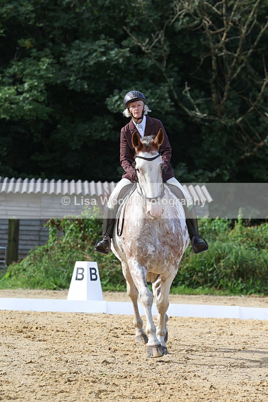 3E7A2390 - Class 1: Intro 4 2024 section A