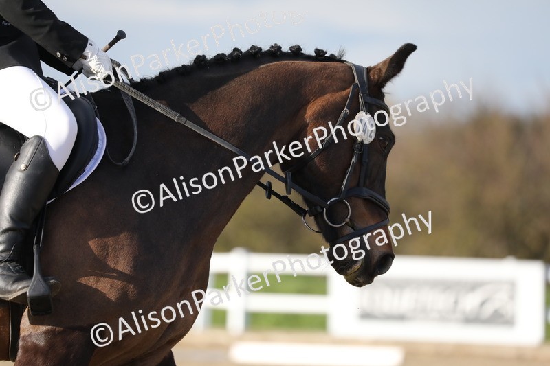 20260314-5948 - DR9 - PYO