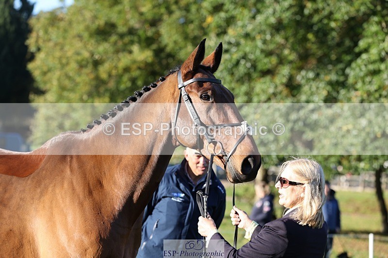 241027-085829-14935 - 369-Carolyn.Price-I.WISH.ANDY