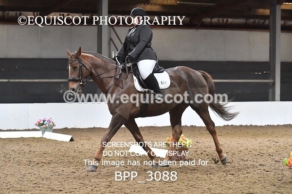 BPP_3088 - INTRO TEST 2