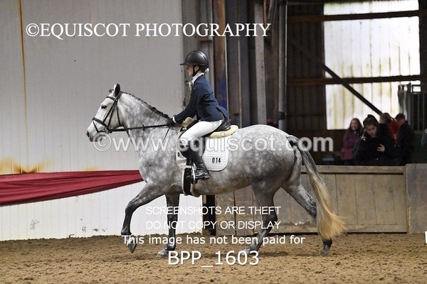 BPP_1603 - PC GRASSROOTS DRESSAGE