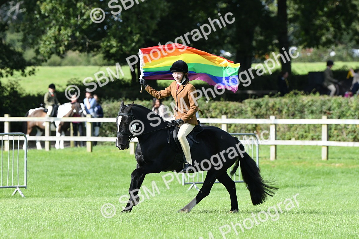 SBM_47053 - S12 - Family Horse & Pony