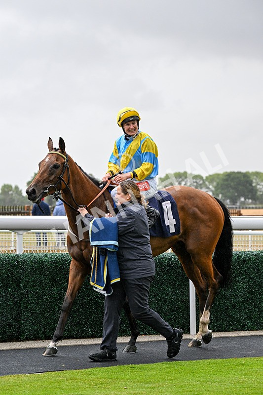 150725-Race 4-Without Flaw-0596 - Race 4