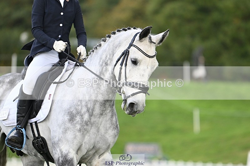 251023A-104708-02601 - G-509-Millie.Bloomfield