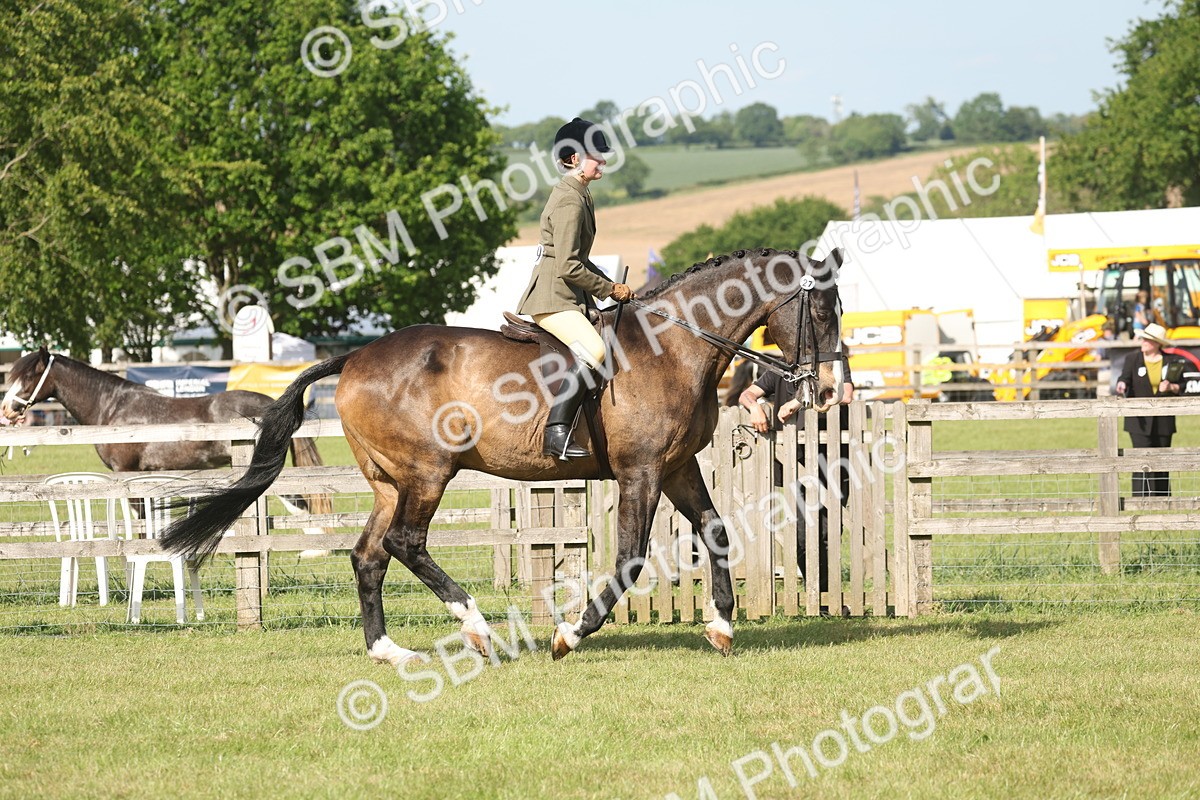 SBM_09758 - Class 33-38 - SSADL RIHS Qualifiers