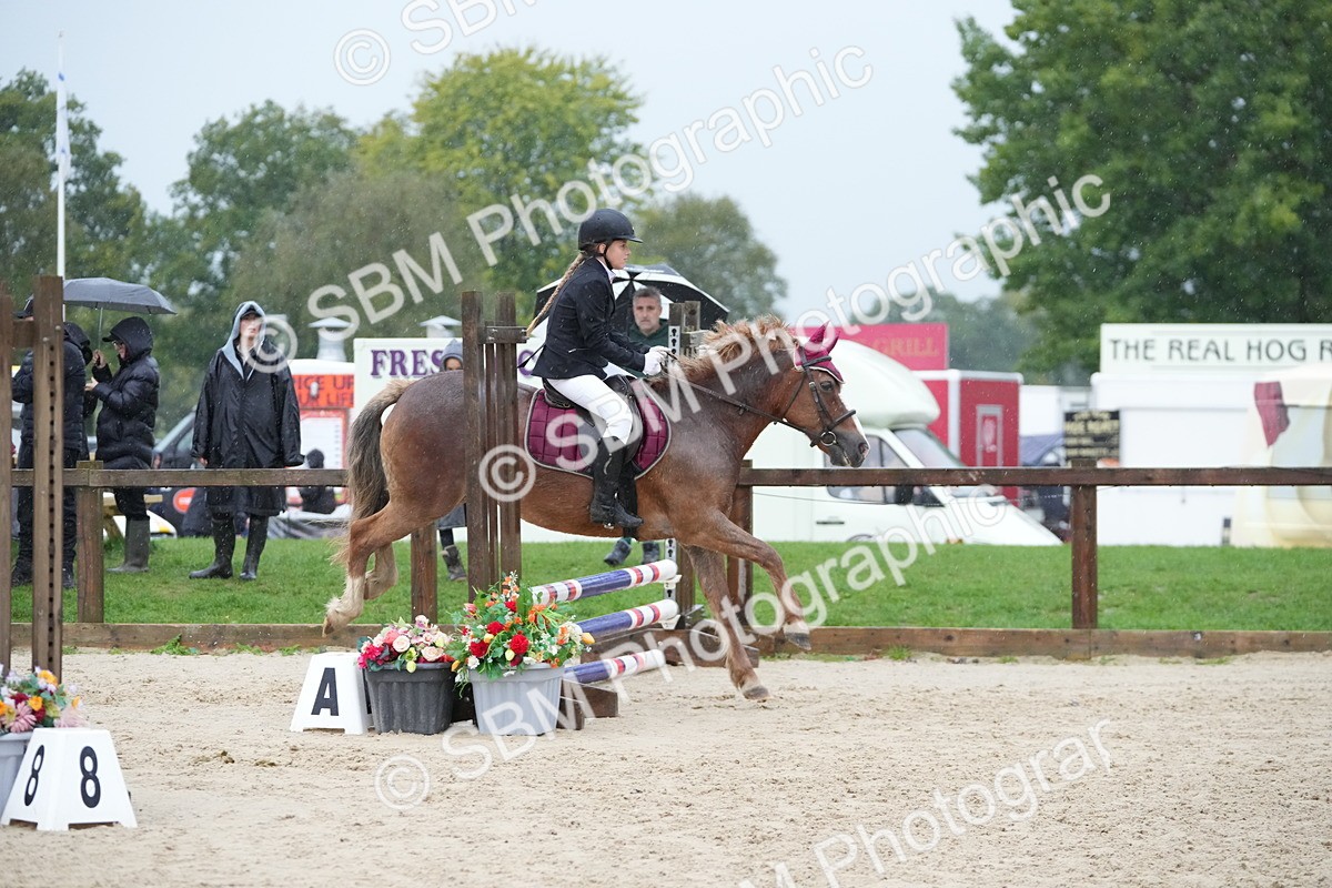 SBM_34106 - J5 - Junior Pony 50cm Championship
