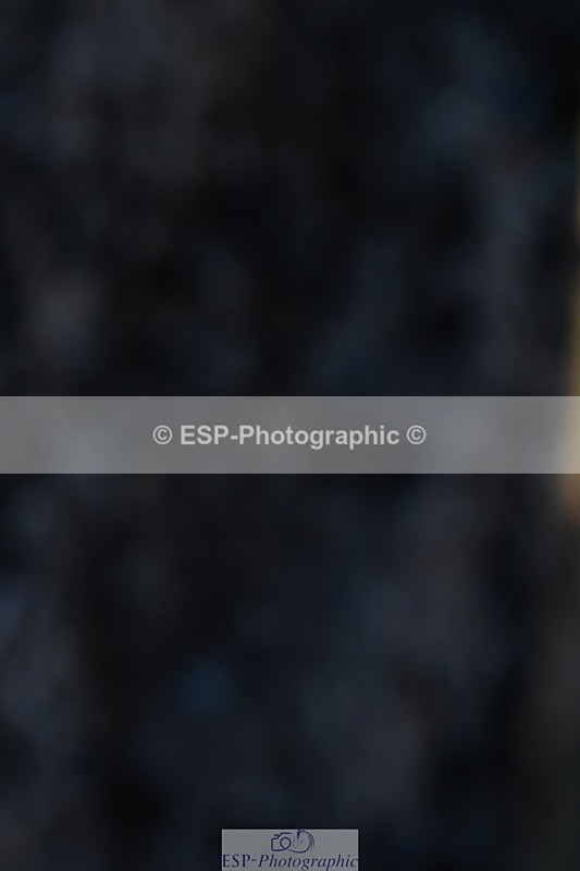 240107A-111542-01299 - UnAff Prelim 7