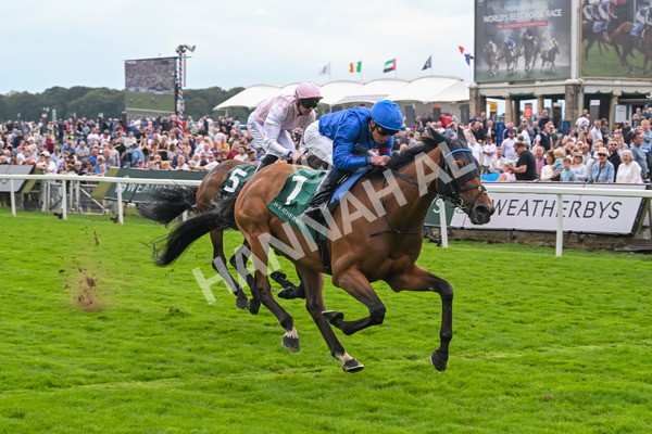 220825-Race 2-Trawlerman-7080 - Race 2 2.25pm Weatherbys Lonsdale Cup Stakes