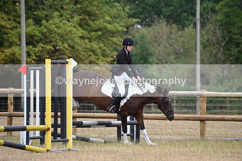 WJ6_0034 - Class 13 Novice Jumping 60cm