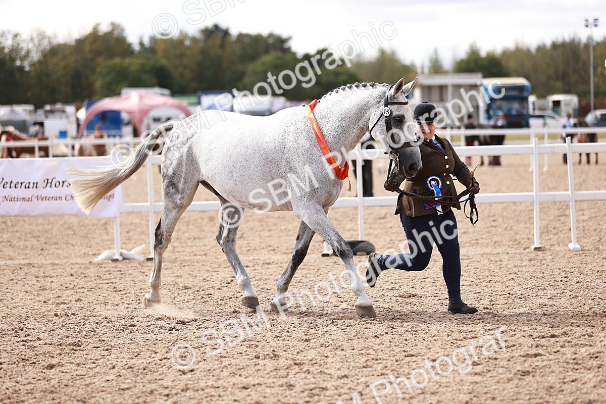 SBM_13378 - class 406 - IH Hunter