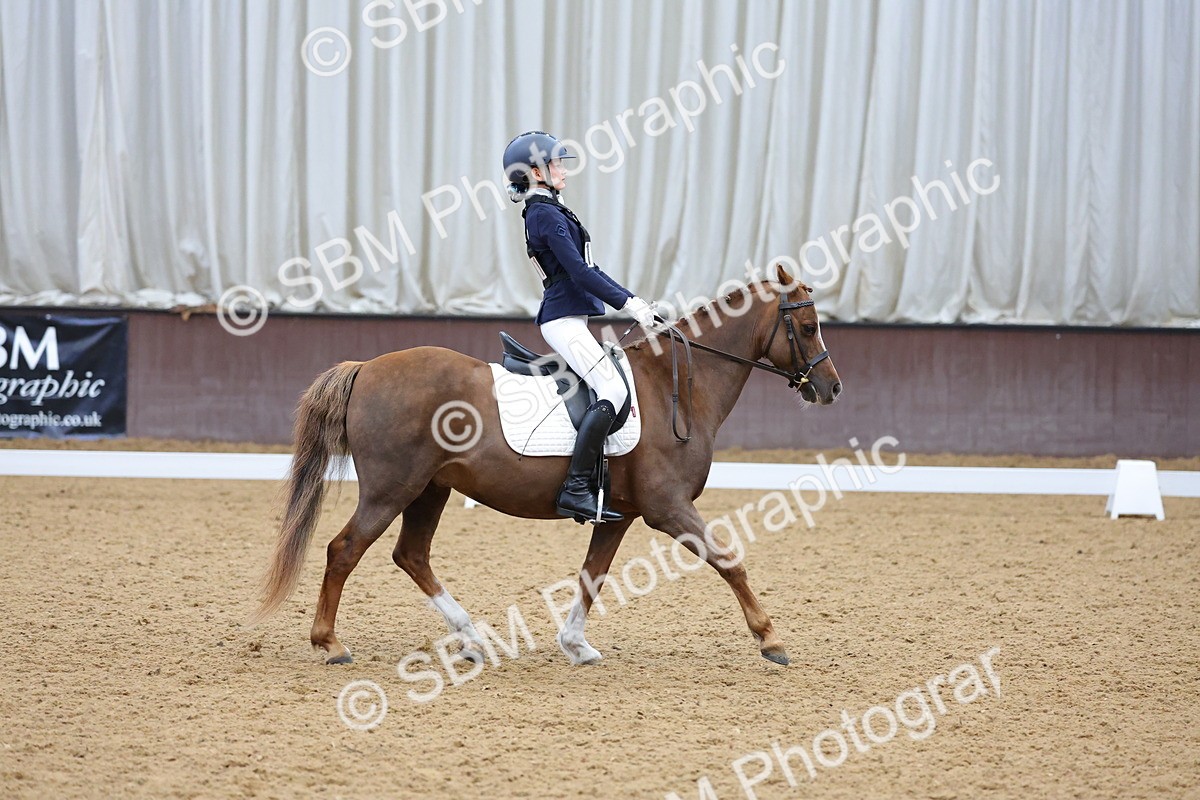 SBM_003684 - Novice