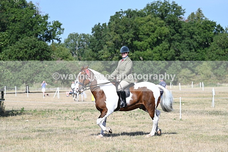 WJ7_3242 - Class 8 Ridden Tack & Turnout