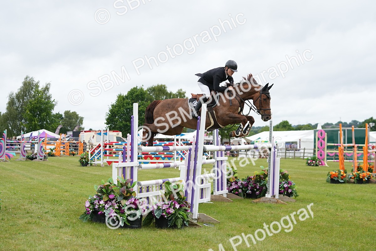SBM_03434 - Class 201 - British Horse Feeds Speedi Beet Horse of the Year Show Grade  C