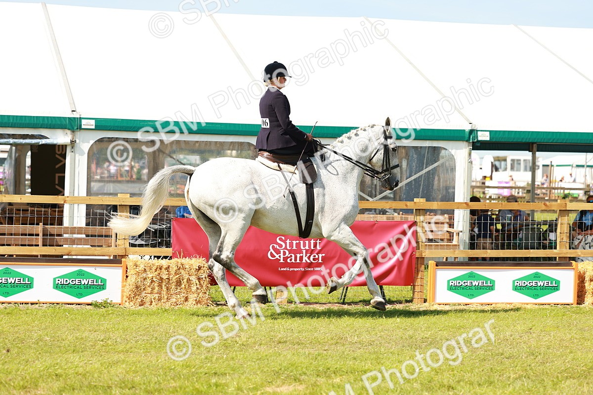 SBM_13137 - Class 70-71 - Side Saddle