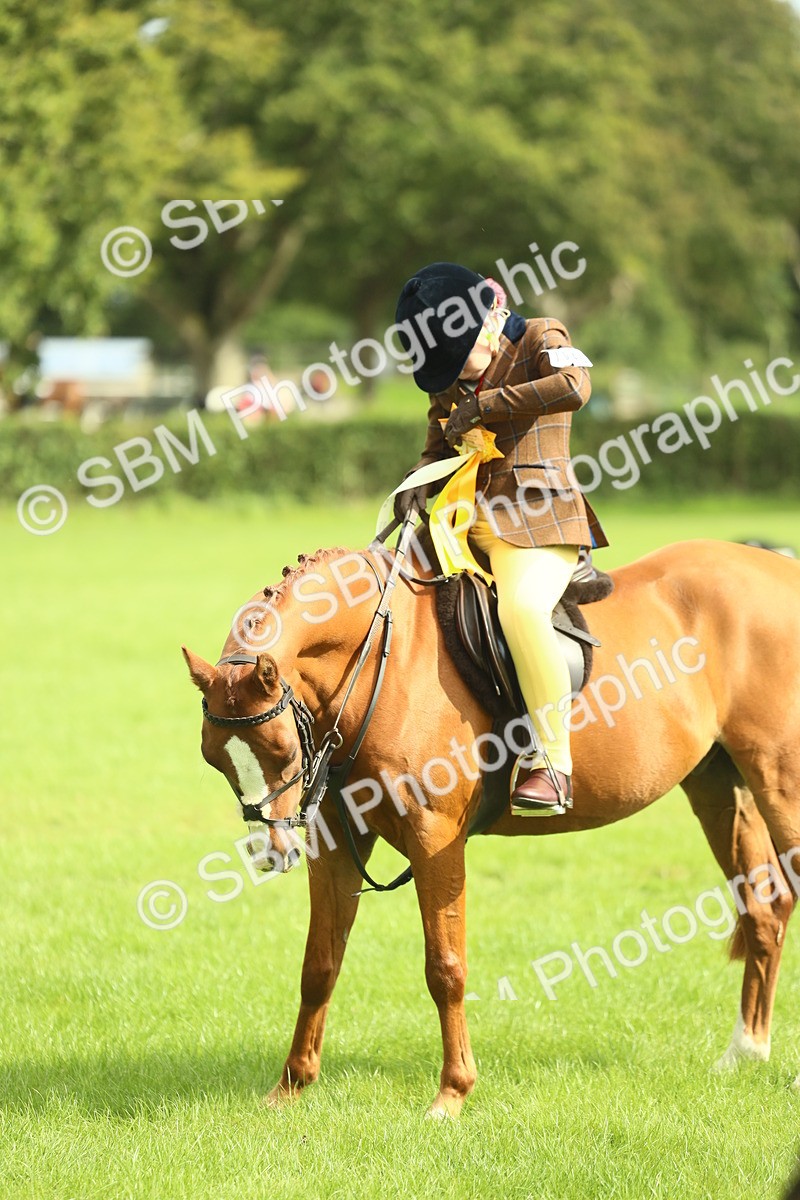 SBM_44827 - S31 - Working Hunter Pony