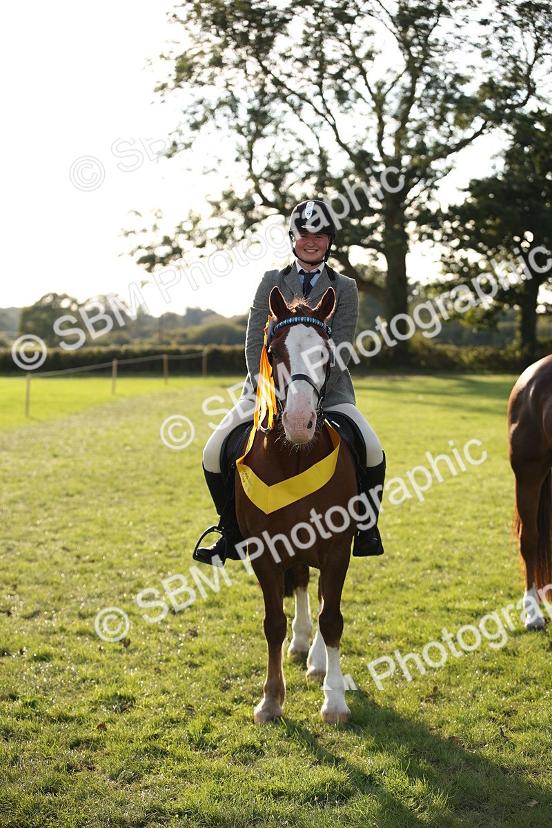 SBM_54358 - S27 - Mature Veteran - Ridden