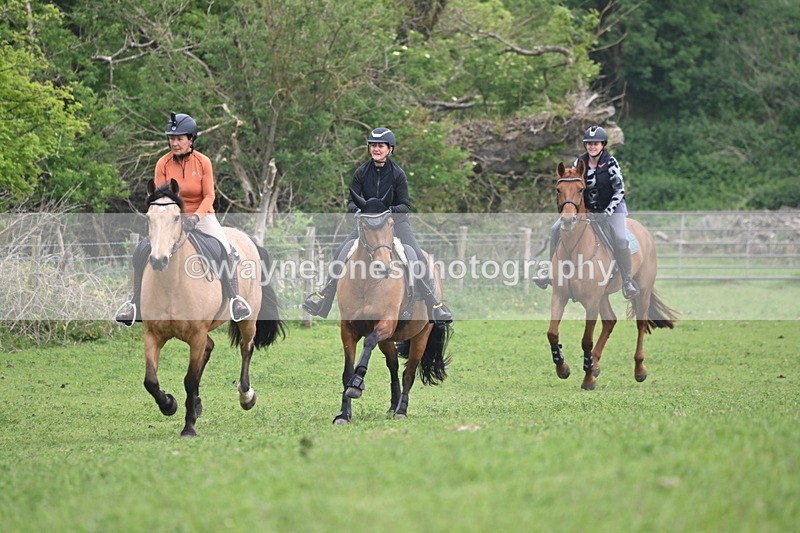 WJ6_2603 - A camera
