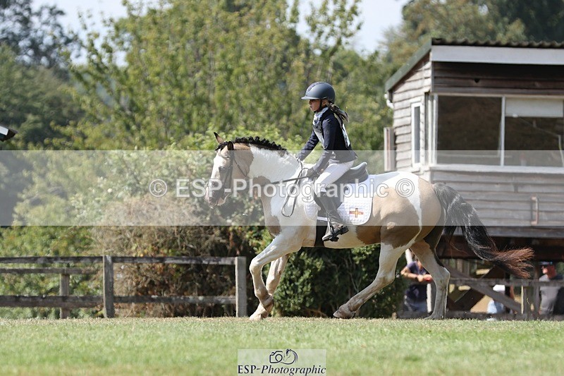 250823A-133612-31330 - Arena D