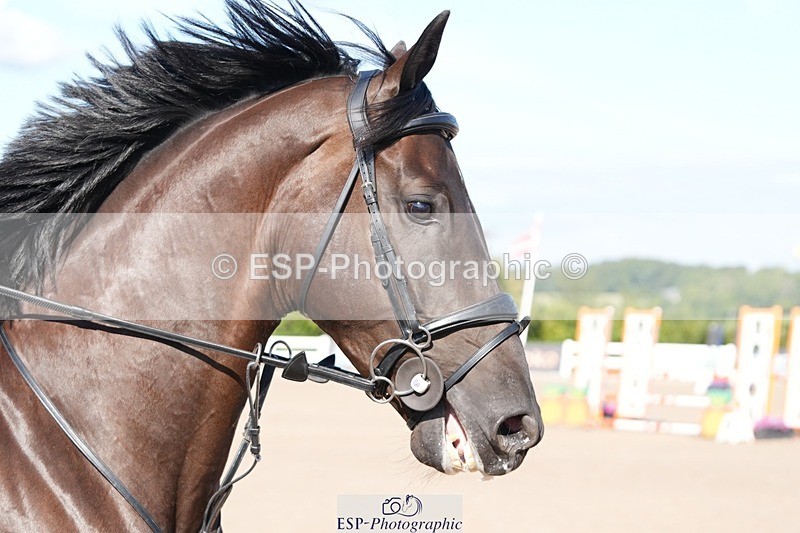 250802-093142-08345 - Cls 19 British Novice and 90cm Open