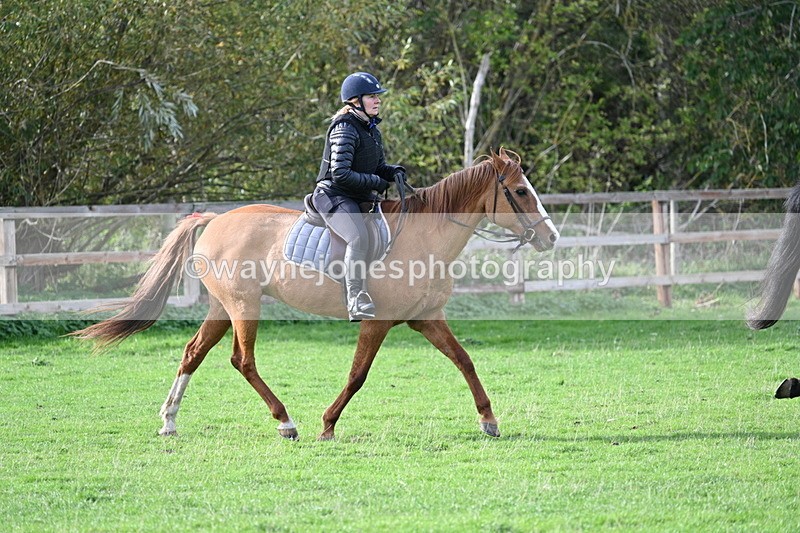 WJ7_1107 - Time 14:27 to 15:11