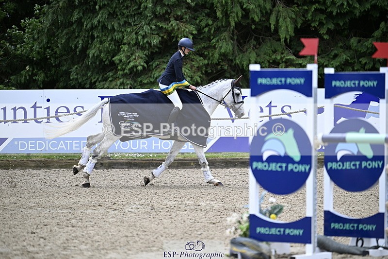 250525A-110310-15677 - Presentations Section A British Young Rider 3 Star