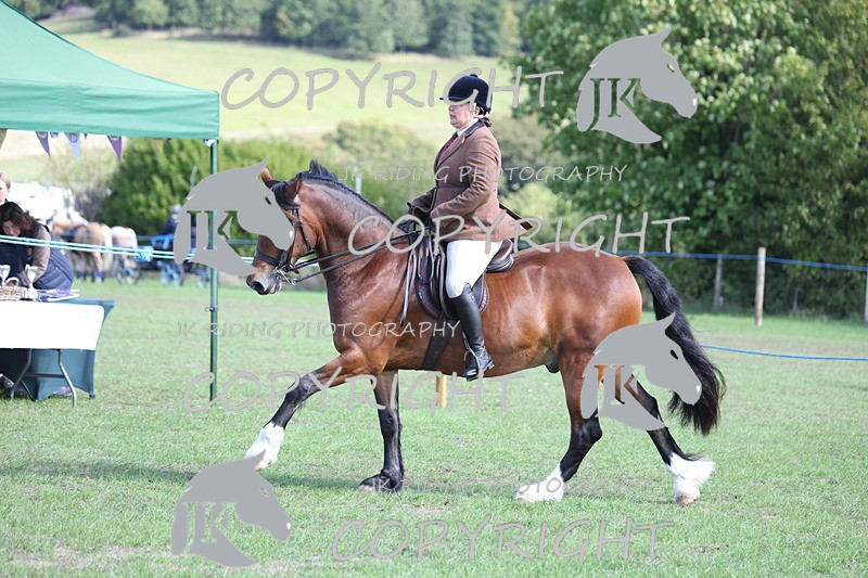 APP_3123 - Class 11 Veterans ridden