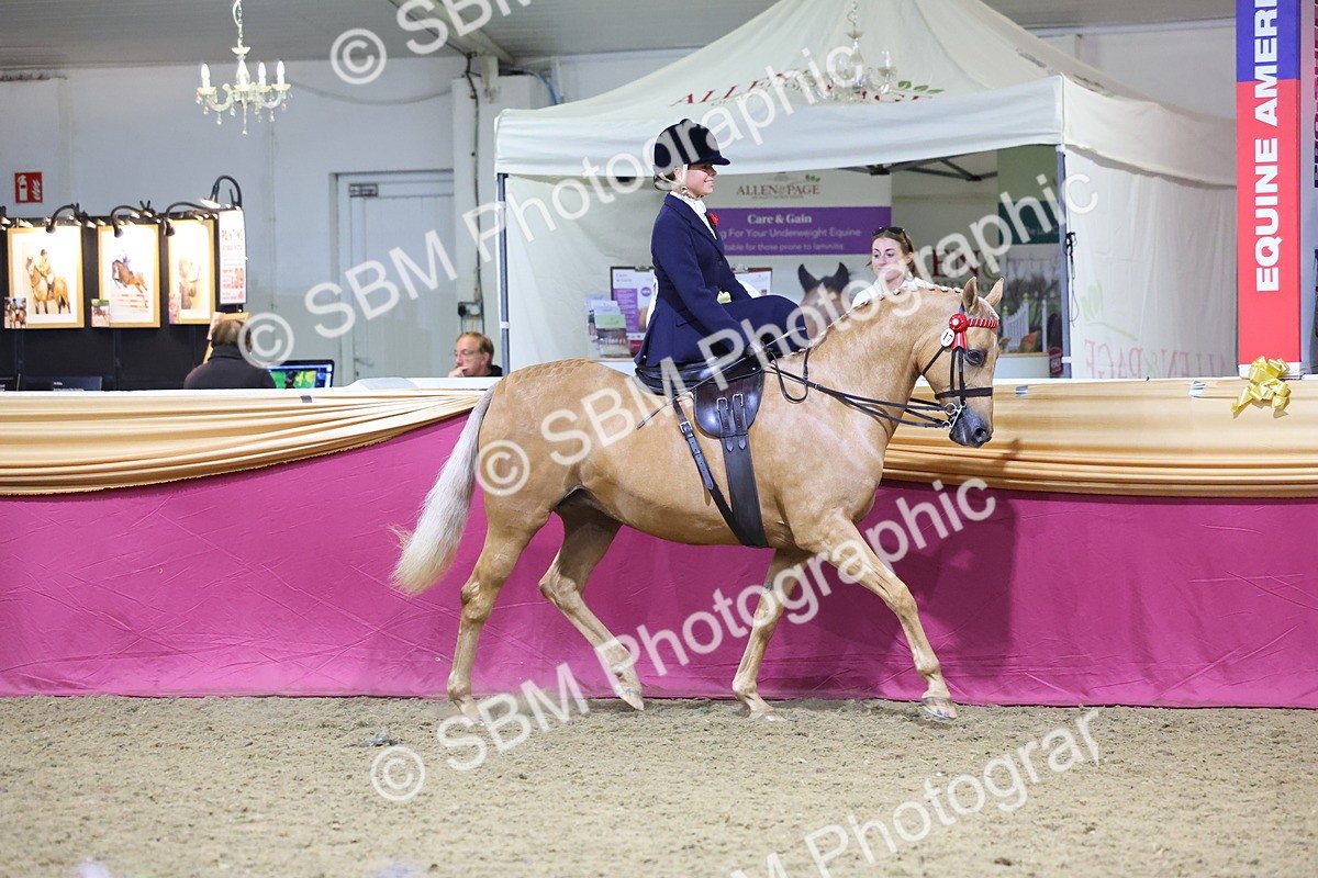 0B8A4253 - Class L Side Saddle Champ