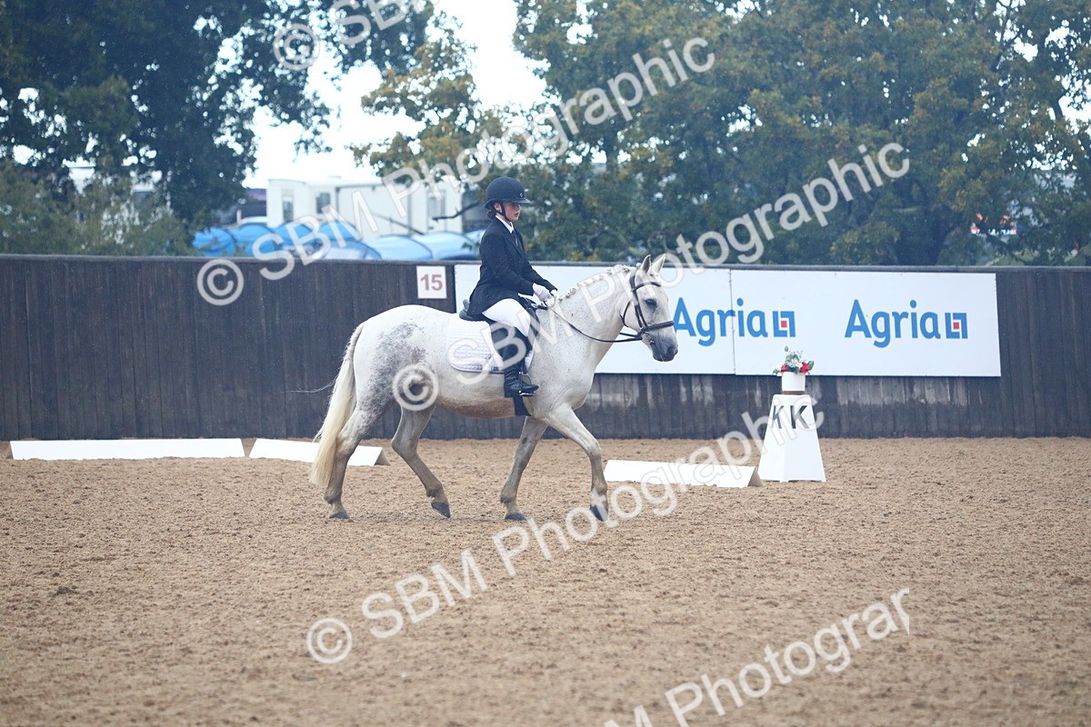 SBM_38862 - D21 - Junior Championship Intro 1