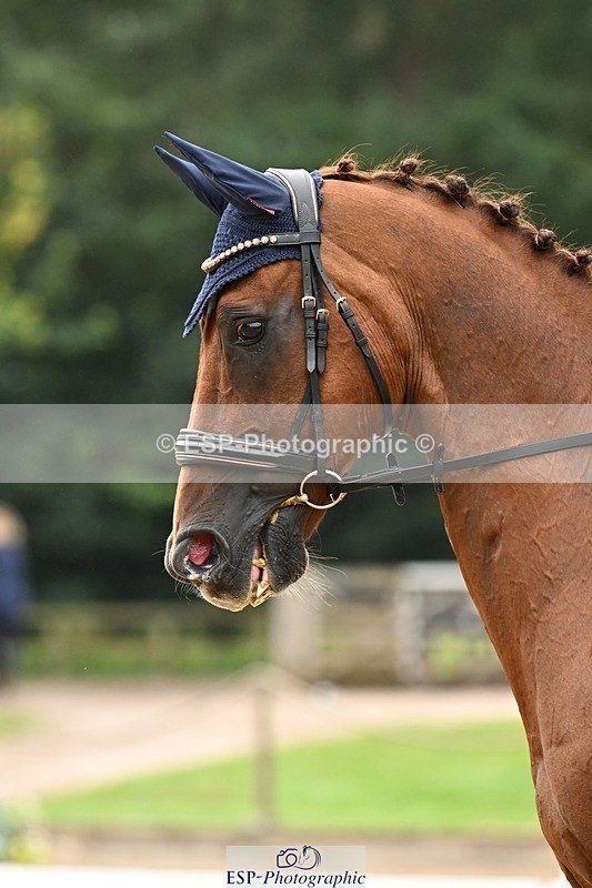 240811-101652-04977 - 110-Helen.Kitto-Da.Vinci.IV