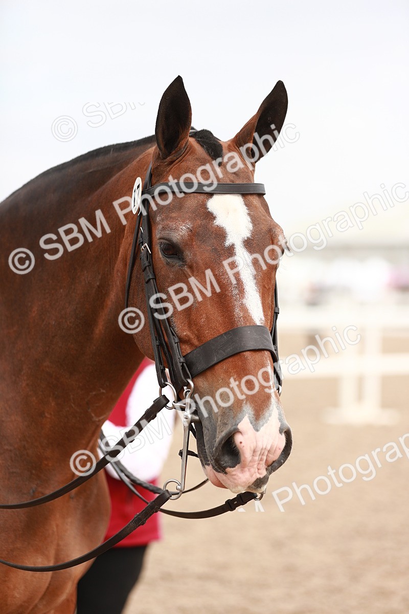 SBM_16713 - Class 214 Ridden Cob