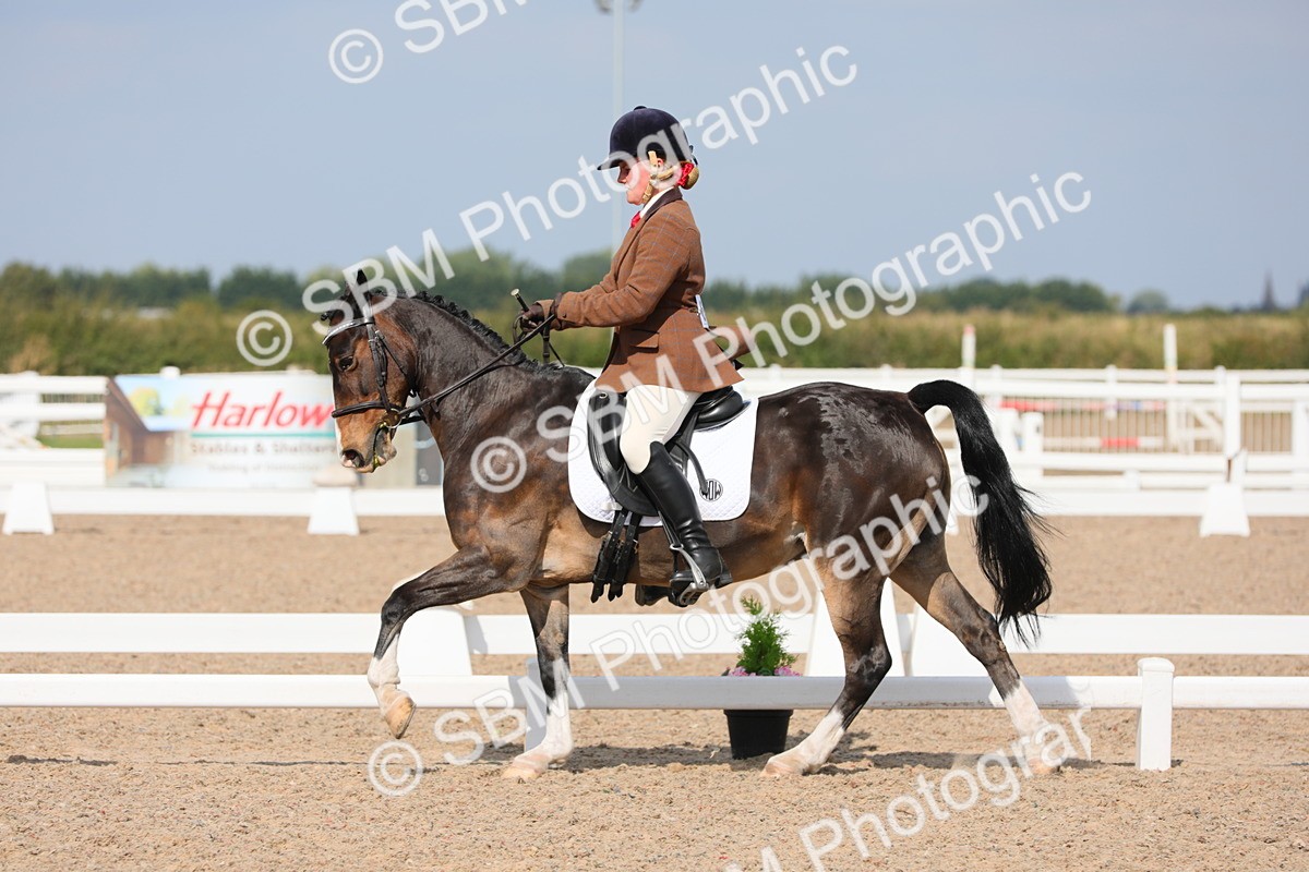 SBM_07529 - Class 33 Elementary 1