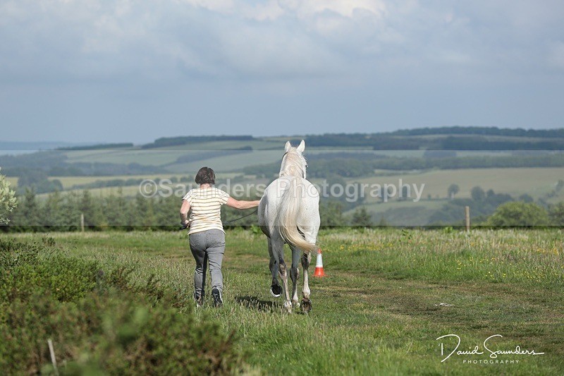SPXX0020 - Friday vetting