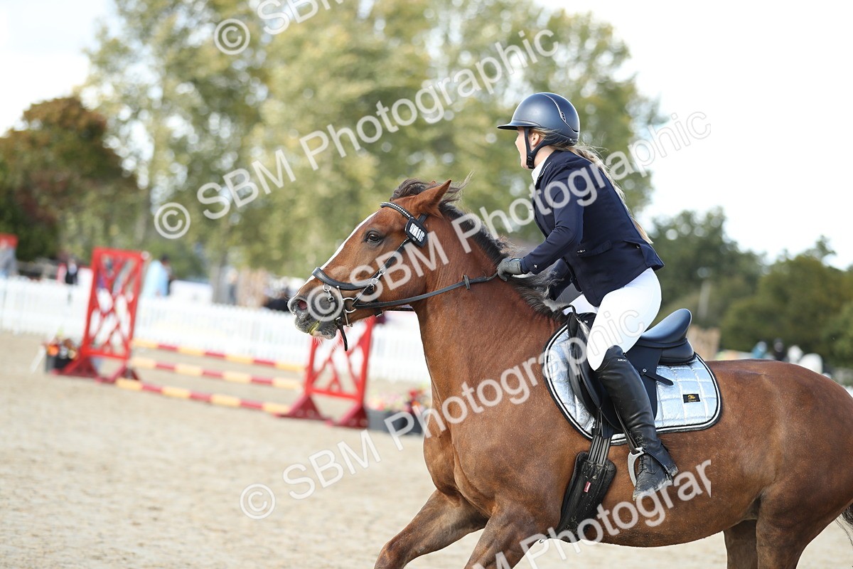 SBM_49533 - J22 - Junior Horse 65cm Championship