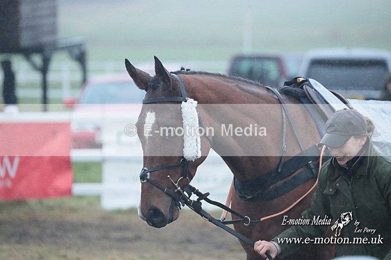 PtP 101223 674 - New Forest Hounds PtP Larkhill 10/12/23