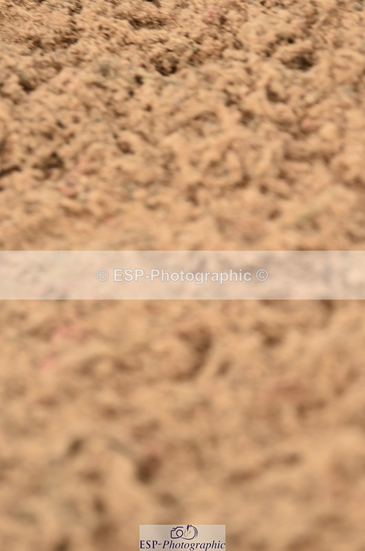 231122A-111146-00167 - Cls 2 Discovery & 1m Open