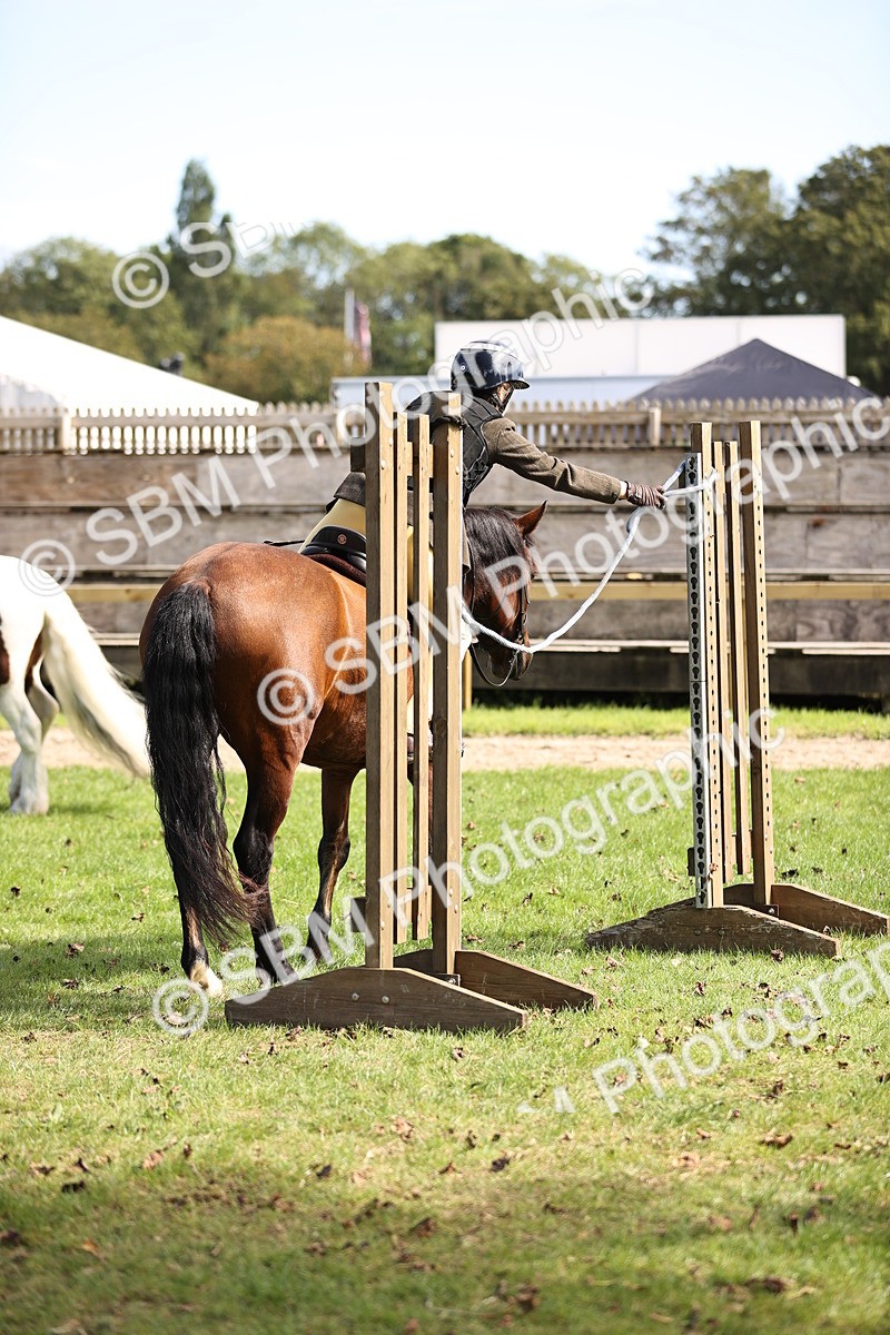 SBM_22888 - S4 - Have a Go at Working Equitation