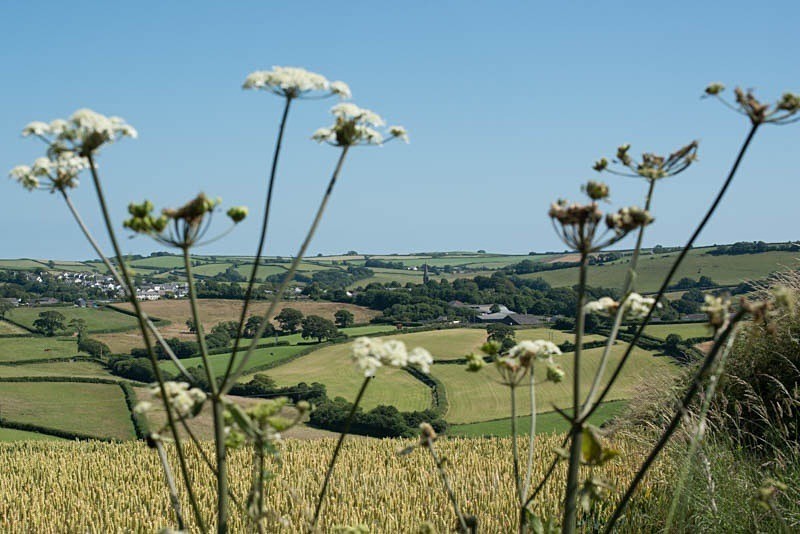 View of the town - Landscape