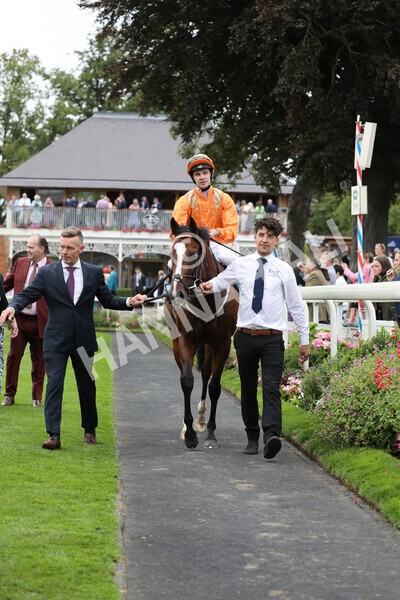 yr17082022r7-41 - Race 7 5.20pm Sky Bet Nursery Handicap