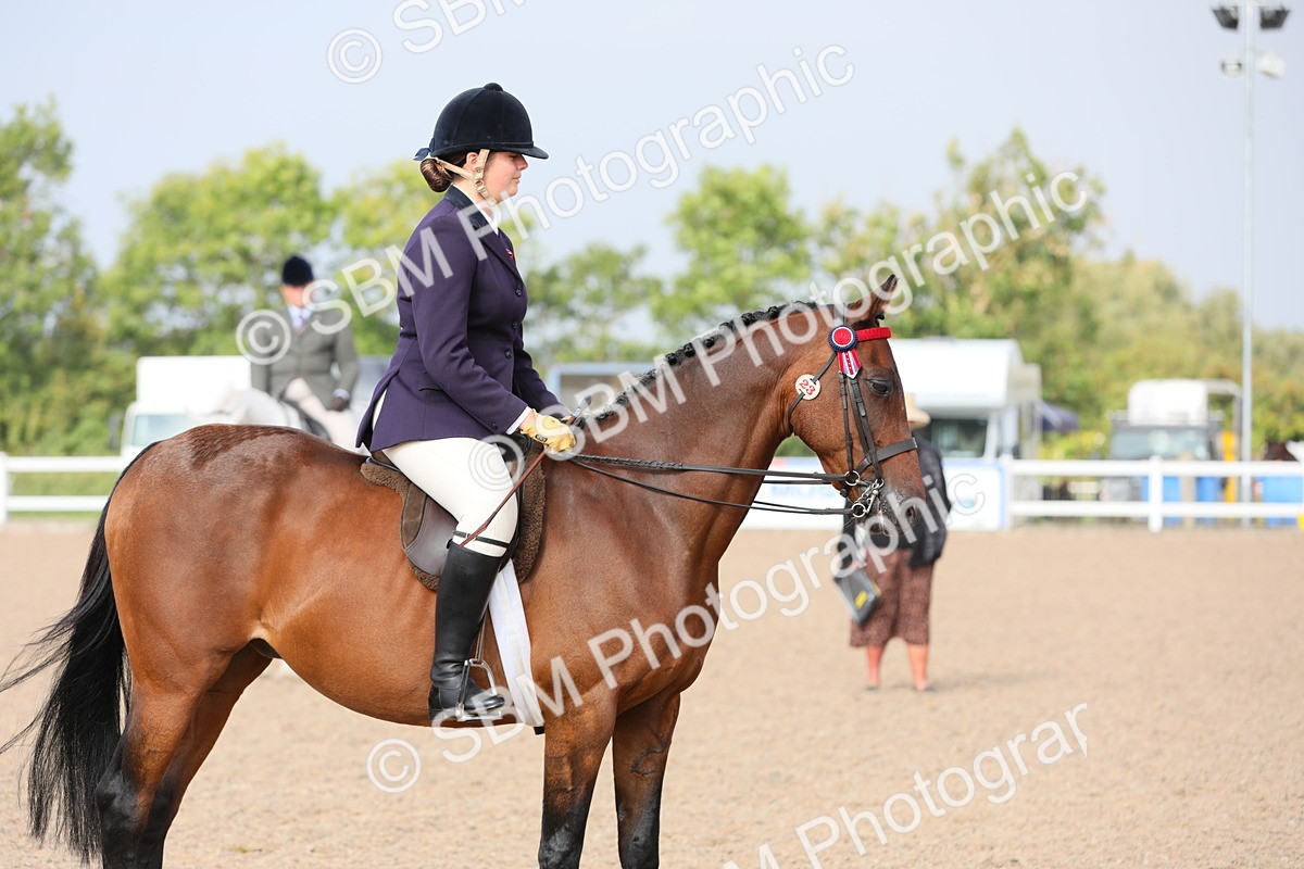 SBM_10900 - Class 304 Ridden Part Bred Horse/Pony